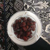الوخشک|خوردنی و آشامیدنی|چناران, |دیوار
