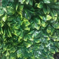 پخش کاغذدیواری پالازموکت چمن مصنوعی پارکت|موکت|ملارد, |دیوار