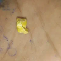 موره خر|بدلیجات|زابل, |دیوار