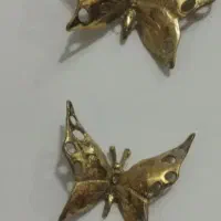 پروانه برنجی ۵۰۰