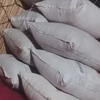 سلام فروش آویشن تعداد بالا