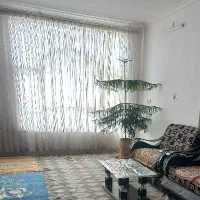 گل و گیاه  طبیعی