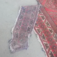 زنجیراردکانی