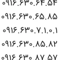 ۰۹۱۶۶۳۰۶۵۸۵
