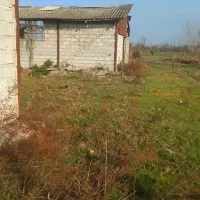 املاک مادر گیلان روستای نبی دهکاه|فروش دفتر صنعتی، کشاورزی، تجاری|کیاشهر, |دیوار