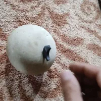 یه عدد سنگ تخم مرغی وزن 410گرم|کلکسیون اشیاء عتیقه|رامهرمز, |دیوار