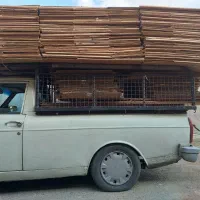 وانت بار