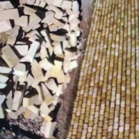 کار ساختمانی بنای جوشکاری پلاسر کاری