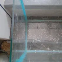 اکواریوم ۴ میل.