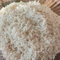 برنج هاشمی الموت کتکان