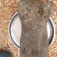 هیزه (خیک)جای روغن محلی