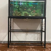 اکواریوم شیک