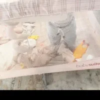 گهواره برند ماستلا + روروئک + تخت پارک + آغوشی|اسباب و اثاث بچه|تهران, خواجه نصیر طوسی|دیوار