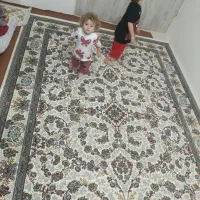 فرش|فرش|بهارستان, |دیوار