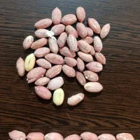 بادام زمینی آستانه تازه و اعلا