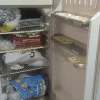 یخچال فیلور