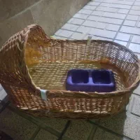 جای خواب حیوان خانگی