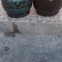 دو عدد پیک نیک