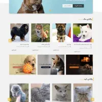 طراحی وبسایت و سئو|خدمات رایانهای و موبایل|شیراز, معالیآباد|دیوار