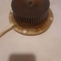 سالمه موتور هود