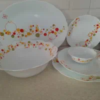 سرویس غذا خوری دسینی