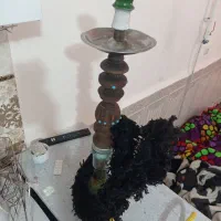 همه باهم 1نیم