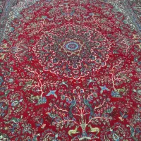 قالی 3/4|فرش|رفسنجان, |دیوار