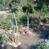 باعچه جمال آباد|فروش زمین و ملک کلنگی|انزل, |دیوار