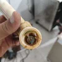 نشت یابی ساختمان|خدمات پیشه و مهارت|امیدیه, |دیوار