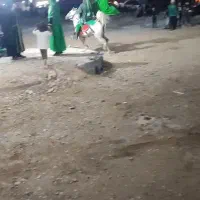 اسب مادیون|اسب و تجهیزات اسب‌سواری|پادنا, |دیوار