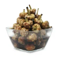 گل سیر قارچ ریز سیرسیاه سیرکله سیرحبه  گلسیر