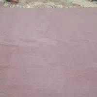 موکت بنفش|موکت|بجنورد, |دیوار