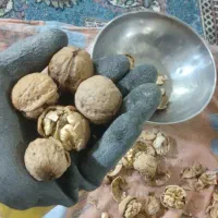 گردو|عمده‌فروشی|قوچان, |دیوار