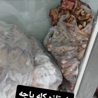 کله پاچه چپش،تکه،شیشک، گوسفند موجود میباشد|خوردنی و آشامیدنی|مهربان, |دیوار