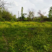 فروش زمین متراژ ۵۰۰ متر