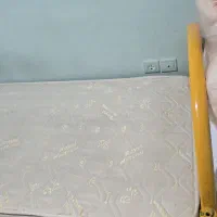 تخت تشک فنری
