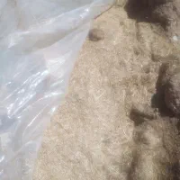 کاه گندم برای کاه گل|لوازم جانبی حیوانات|شیراز, حسن آباد|دیوار