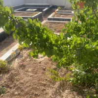 باغچه۵۰۰مترباسندوویلا۱۱۰مترآماده سکونت دائم دماوند|فروش خانه و ویلا|تهران, تهرانپارس شرقی|دیوار