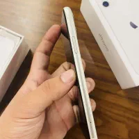 Iphone 11|موبایل|قم, پردیسان|دیوار