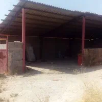 گاوداری-1000-متر-سند-دار