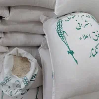 برنج هاشمی،فجر،دمسیاه،سرلاشه،شیرودی|خوردنی و آشامیدنی|تهران, تهرانسر شرقی|دیوار