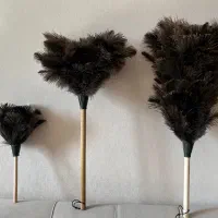 گردگیر شترمرغ عمده