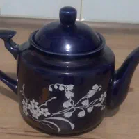 ویدئو