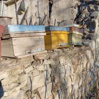 کندو خالی|حیوانات مزرعه|آبش احمد, |دیوار