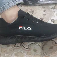 تعدادی کفش نو|کیف، کفش، کمربند|پرند, فاز ۵|دیوار