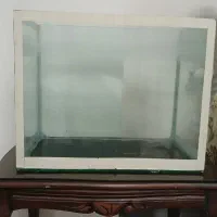 آکواریوم