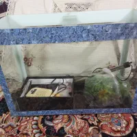 آکواریوم با لوازم