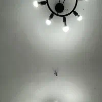لوستر اسپرت