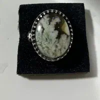 انگشتر شجر بهاره