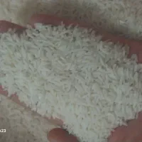 برنج هاشمی درجه ۱|خوردنی و آشامیدنی|رشت, یخسازی|دیوار